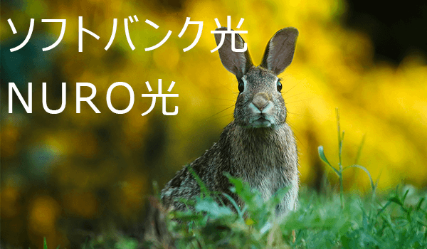 ソフトバンク光とNURO光を比較